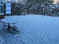 2009-12-19 23 M